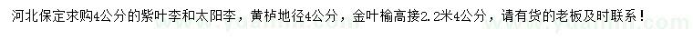 求購紫葉李、太陽李、黃櫨等
