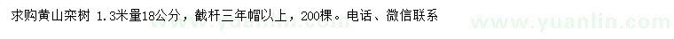 求購(gòu)1.3米量18公分黃山欒樹
