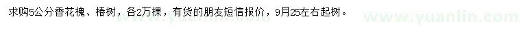 求購(gòu)5公分香花槐、椿樹(shù)
