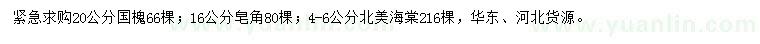 求購國槐、皂角、北美海棠