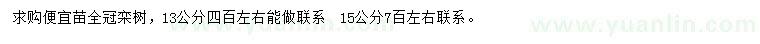 求購13、15公分欒樹
