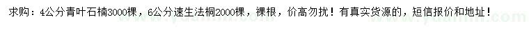 求購4公分青葉石楠、6公分速生法桐