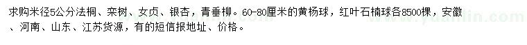 求購法桐、欒樹、女貞等