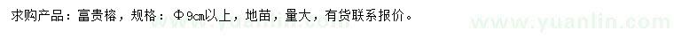 求購(gòu)9公分以上富貴榕