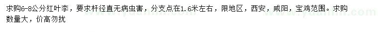 求購6-8公分紅葉李