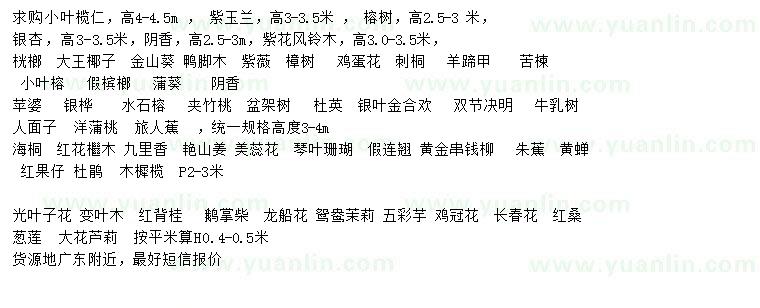 求購小葉欖仁、紫玉蘭、榕樹等