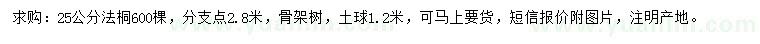 求購25公分法桐
