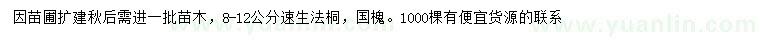 求購8-12公分速生法桐