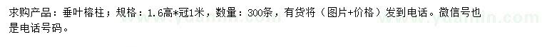 求購高1.6米垂葉榕柱