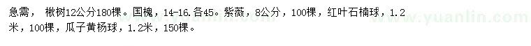 求購(gòu)楸樹、國(guó)槐、紫薇等