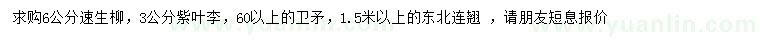 求購速生柳、紫葉李、衛(wèi)矛等