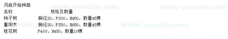 求購(gòu)柿子樹、重陽(yáng)木、桂花