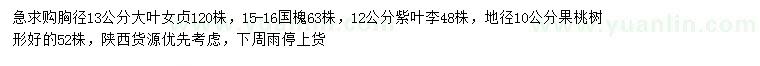 求購大葉女貞、國槐、紫葉李等
