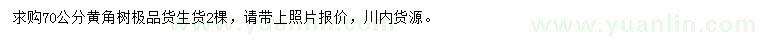 求購70公分黃角樹(shù)