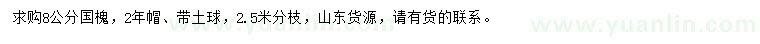 求購8公分國槐
