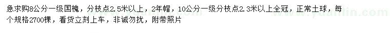 求購8、10公分國槐