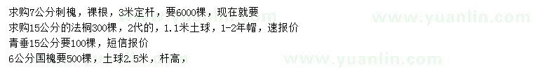 求購刺槐、法桐、青垂等