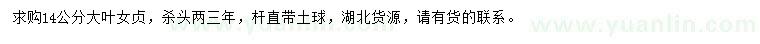 求購14公分大葉女貞