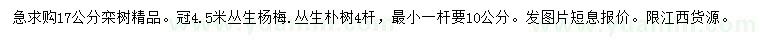 求購17公分欒樹、冠4.5米楊梅