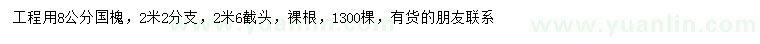 求購(gòu)8公分國(guó)槐