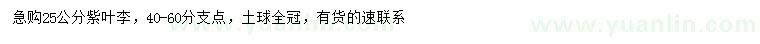 求購25公分紫葉李
