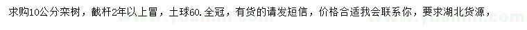 求購10公分欒樹