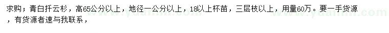 求購高65公分以上青白扦云杉