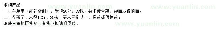 求購米徑20公分羊蹄甲、12公分盆架子