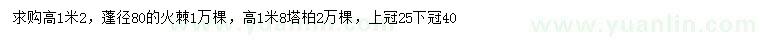 求購高1.2米火棘、1.8米塔柏