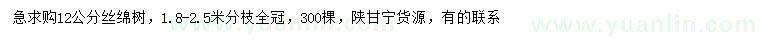 求購12公分絲綿樹