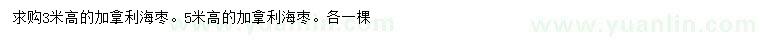 求購(gòu)高3、5米加拿利海棗