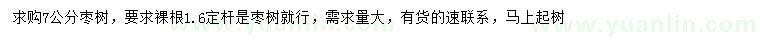 求購7公分棗樹