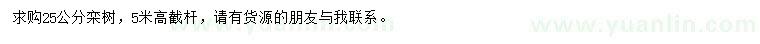 求購25公分欒樹