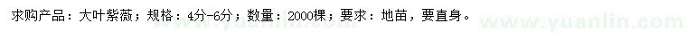 求購4-6公分大葉紫薇