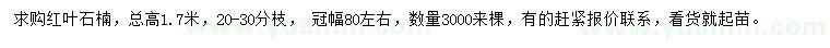 求購高1.7米紅葉石楠
