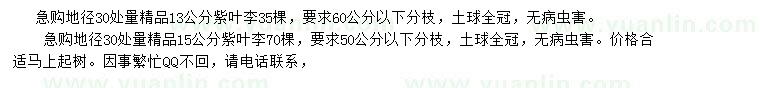 求購地徑30處量精品13、15公分紫葉李