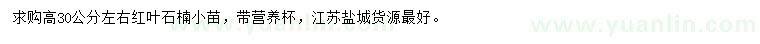 求購高30公分左右紅葉石楠小苗