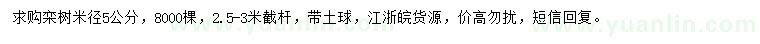 求購(gòu)米徑5公分欒樹(shù)