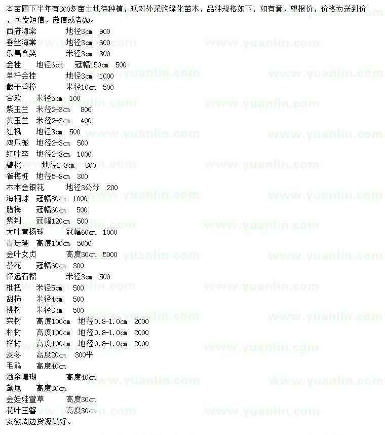 求購(gòu)西府海棠、垂絲海棠、樂昌含笑等