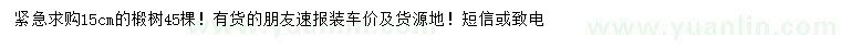 求購15公分椴樹