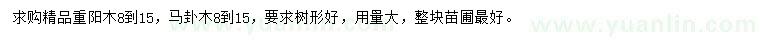 求購8-15公分重陽木、馬卦木