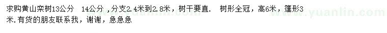 求購(gòu)13、14公分黃山欒樹