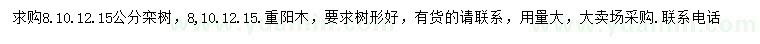 求購8、10、12、15公分欒樹、重陽木