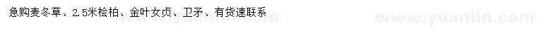 求購麥冬草、檜柏、金葉女貞等
