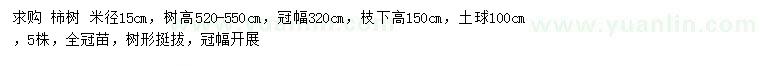 求購米徑15公分柿樹