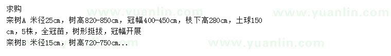 求購米徑15、25公分欒樹