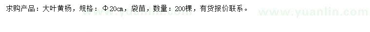 求購20公分大葉黃楊