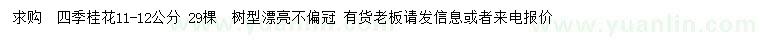 求購(gòu)11-12公分四季桂