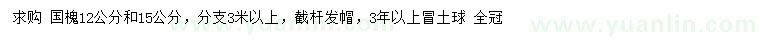 求購12、15公分國槐