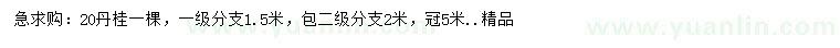 求購20公分丹桂